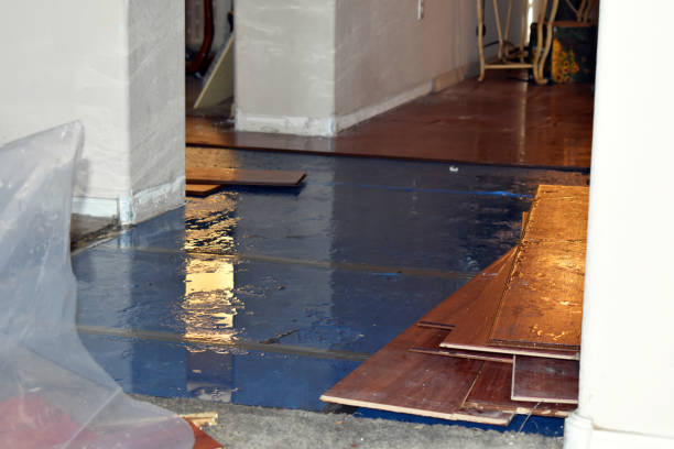 Professional Burst Pipe Cleanup technician working in Bridgeton, NC